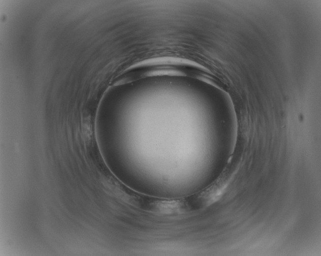 X0000074930085200609081336