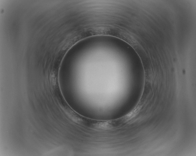 X0000074930086200609081336