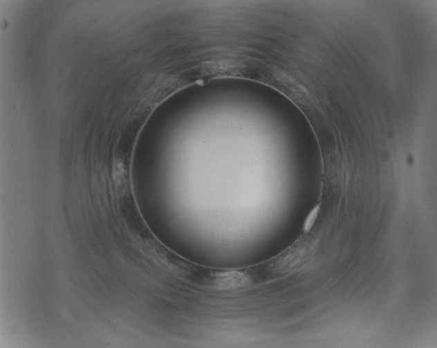 X0000074930087200609081336