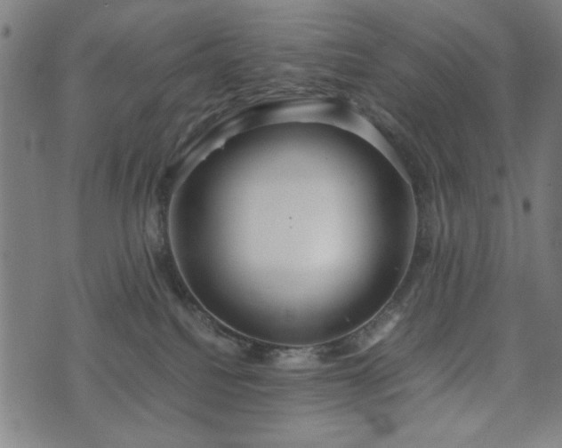 X0000074930088200609081336