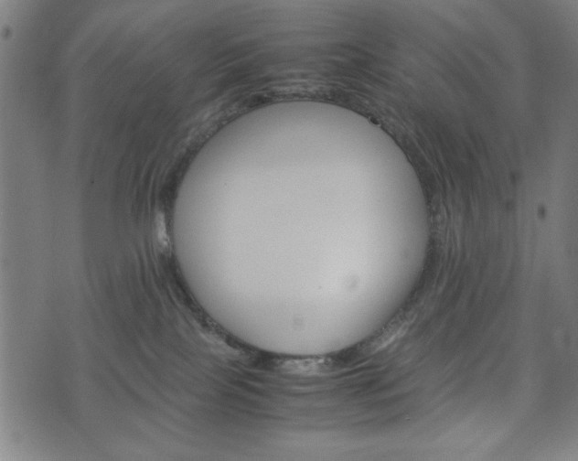 X0000074930089200609081336