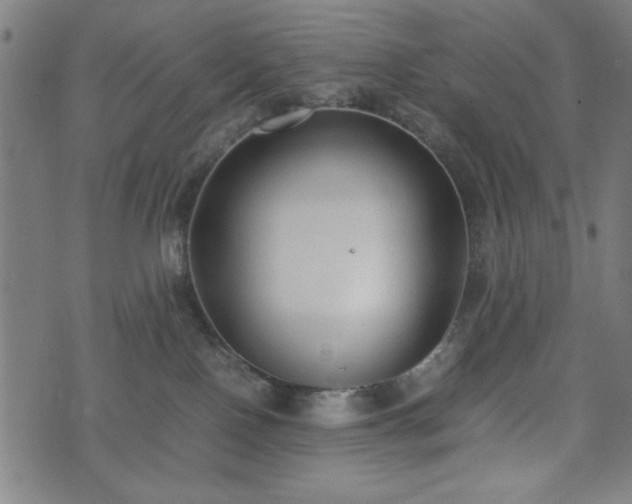 X0000074930090200609081336