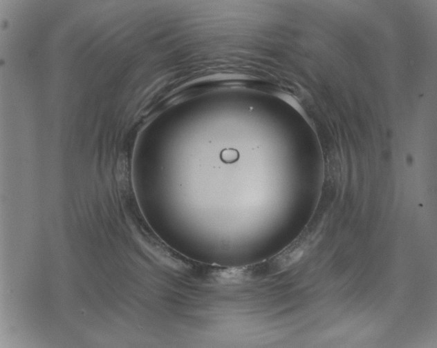 X0000074930092200609081336