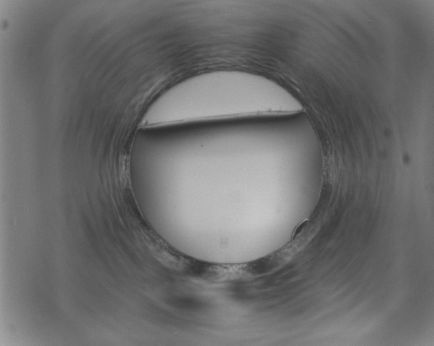 X0000074930093200609081336