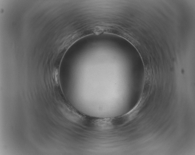 X0000074930094200609081337