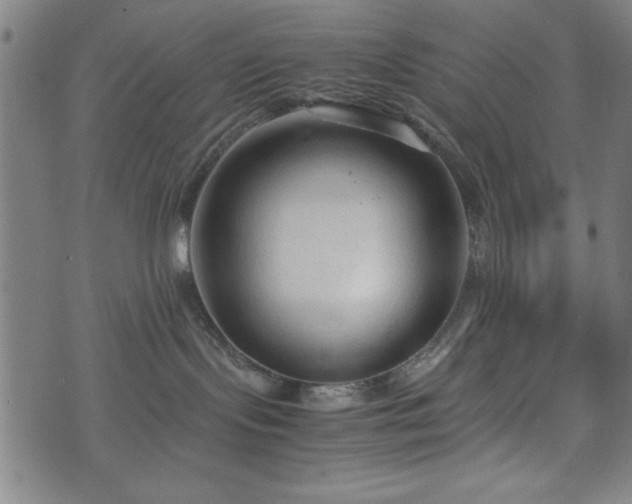 X0000074930095200609081337