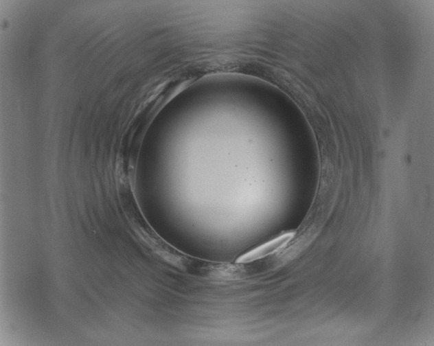 X0000074930096200609081337