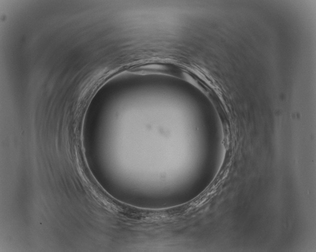 X0000074930097200609081336