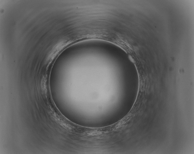 X0000074930098200609081336