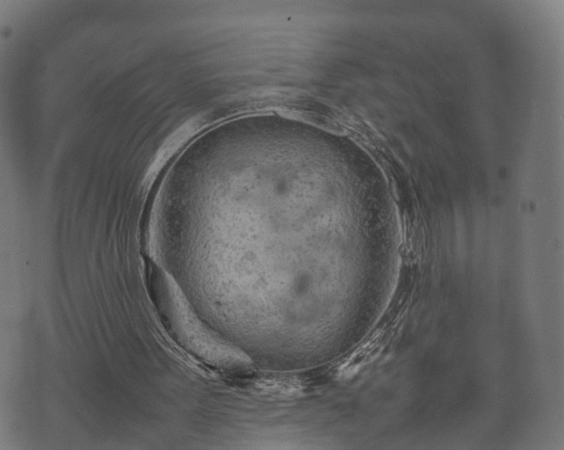 X0000074930099200609081336