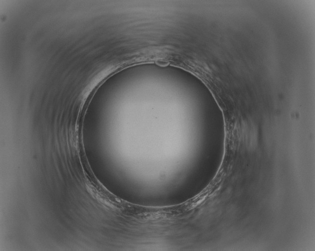 X0000074930100200609081336