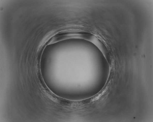 X0000074930101200609081336