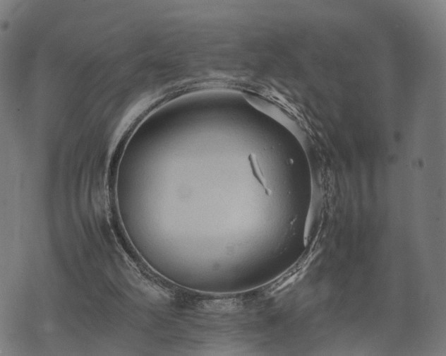 X0000074930102200609081336