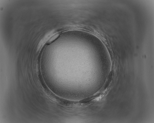 X0000074930103200609081336