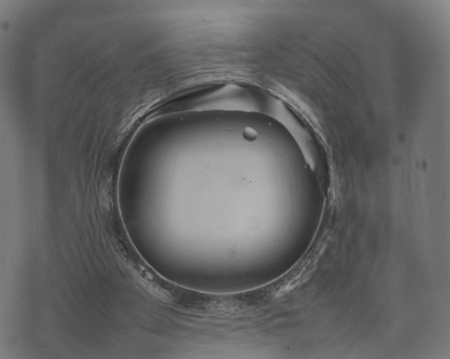 X0000074930105200609081336