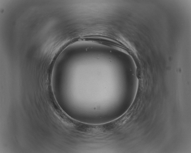 X0000074930107200609081336