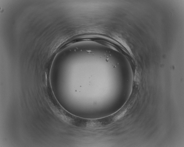 X0000074930109200609081336