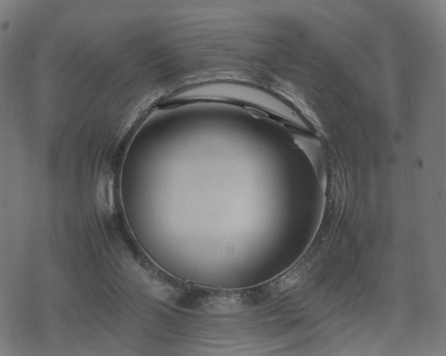 X0000074930110200609081336