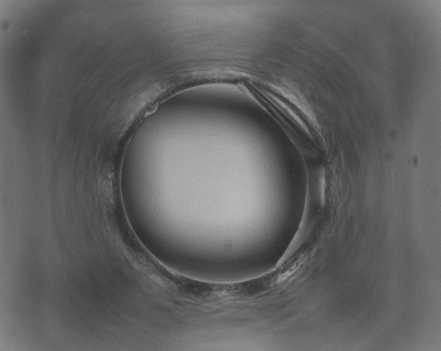 X0000074930111200609081336