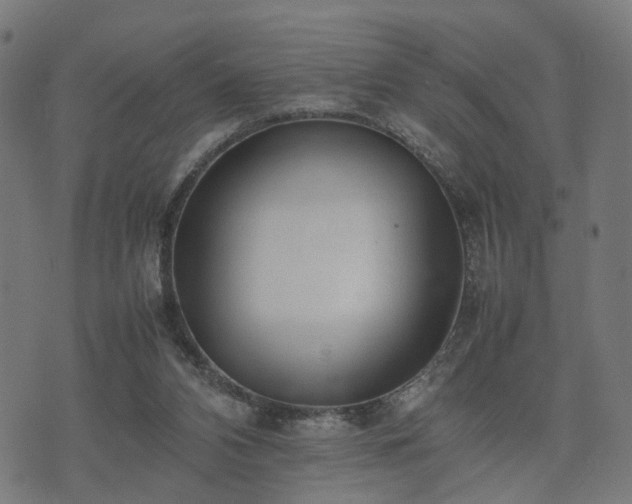 X0000074930112200609081336