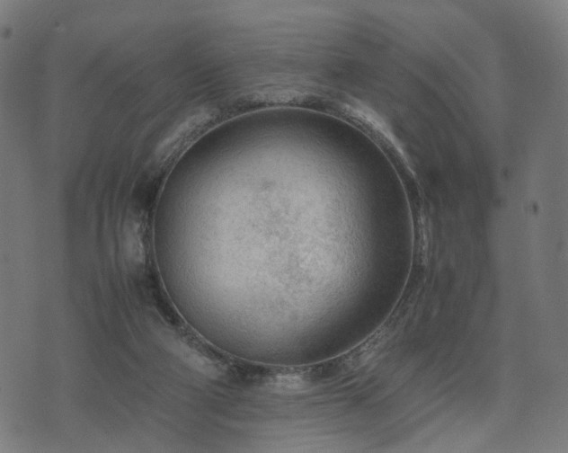 X0000074930114200609081335