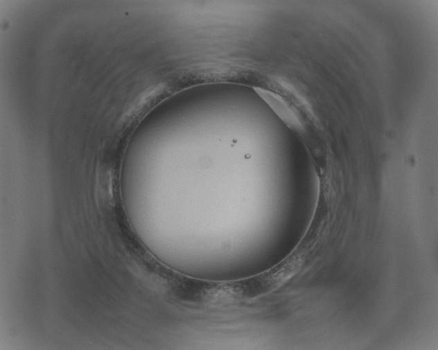 X0000074930115200609081335