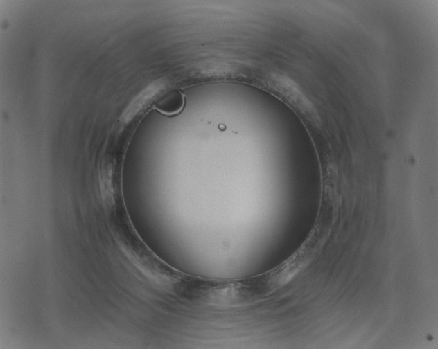 X0000074930116200609081335