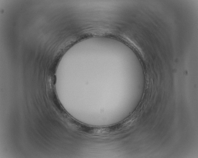 X0000074930117200609081335