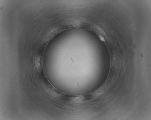 X0000074930122200609081335