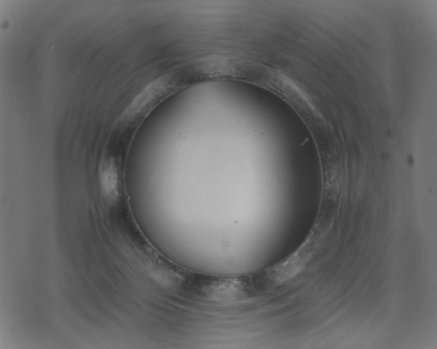 X0000074930124200609081335