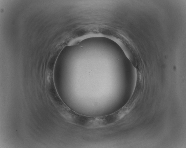 X0000074930125200609081335