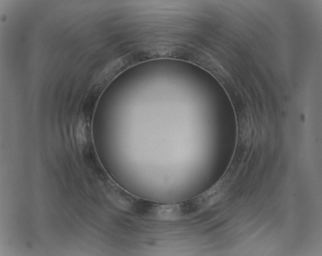 X0000074930126200609081335