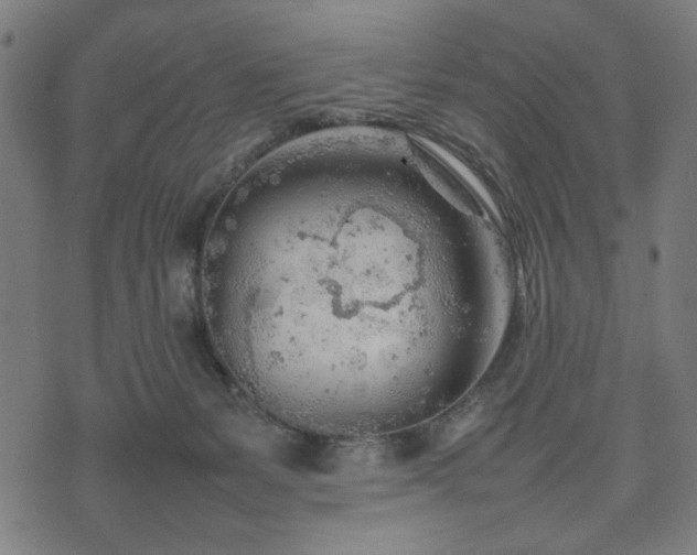 X0000074930127200609081335