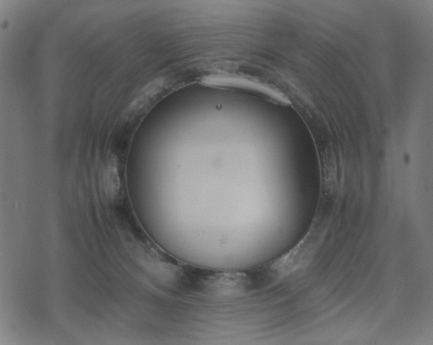 X0000074930128200609081335