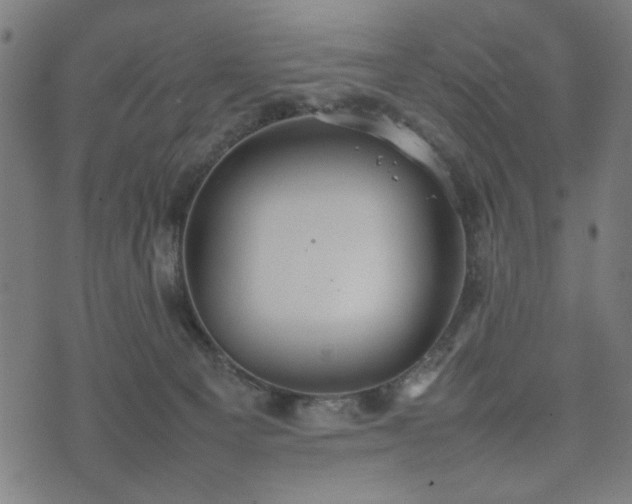 X0000074930129200609081335