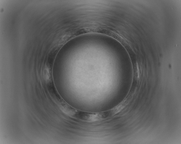 X0000074930130200609081335