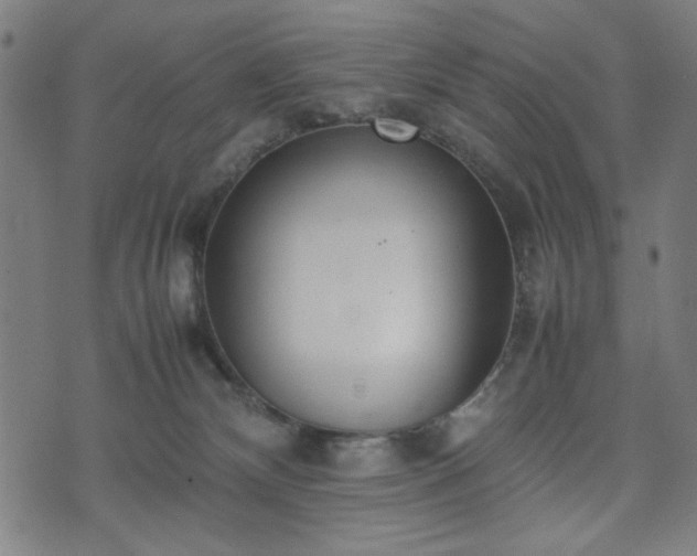 X0000074930132200609081335