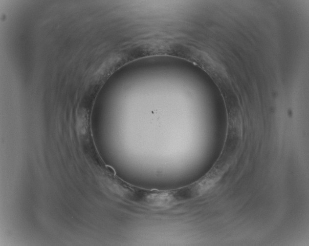 X0000074930133200609081335