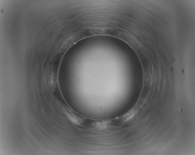 X0000074930134200609081335