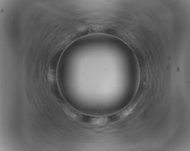 X0000074930135200609081335