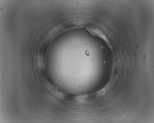 X0000074930136200609081335