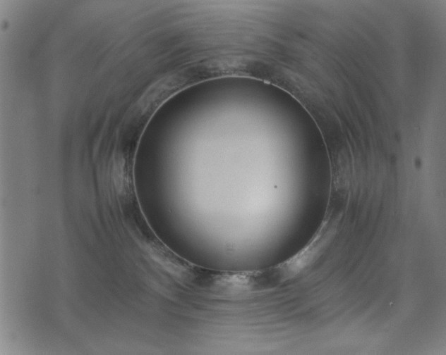 X0000074930140200609081335