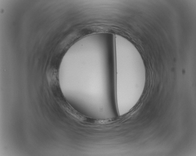 X0000074930141200609081335