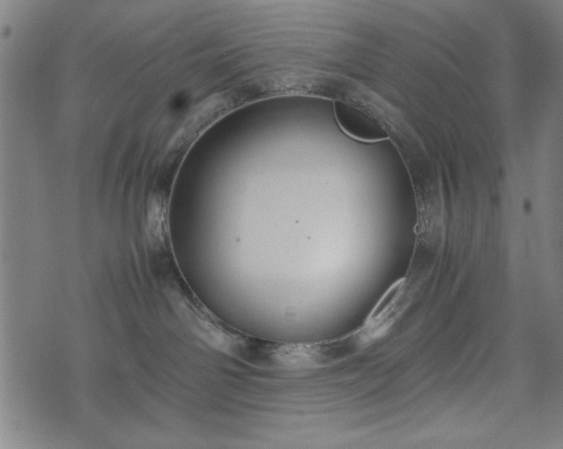 X0000074930142200609081335