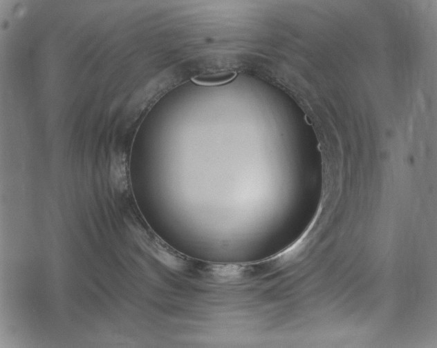 X0000074930144200609081335