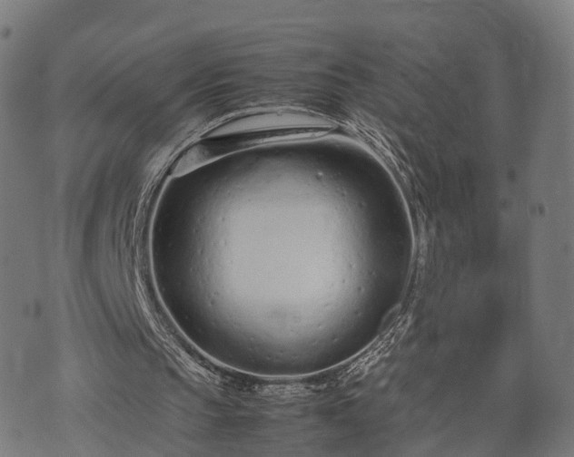 X0000074930145200609081334