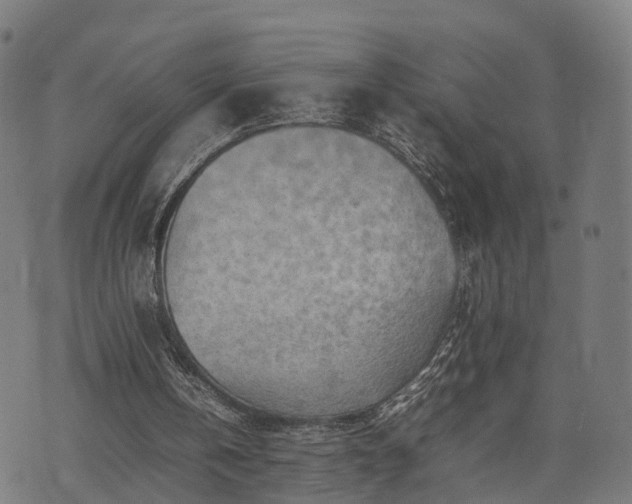 X0000074930146200609081334