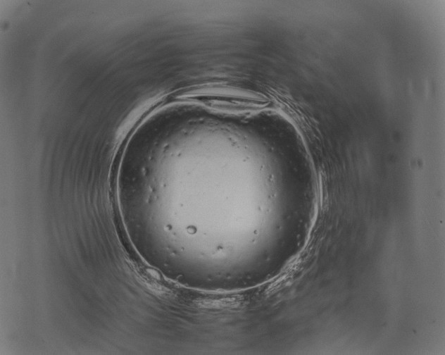 X0000074930147200609081334