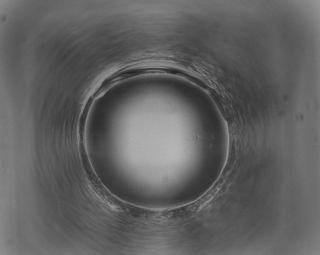 X0000074930148200609081334