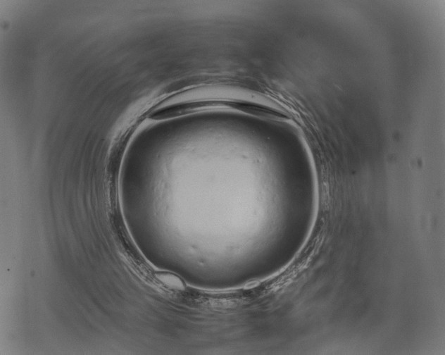 X0000074930149200609081334